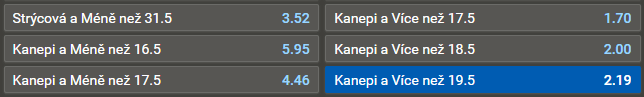 US Open 2023: Strýcová vs. Kanepi (1. kolo)